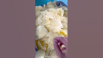 Industrial potato chips cutter