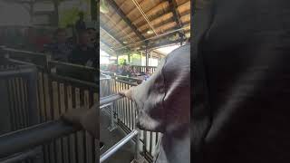 They Got The Whole Filming Crew On Adventure Express?