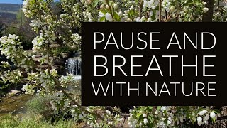 5 minutes to Pause & Breathe by Embodyworks 41 views 9 months ago 4 minutes, 46 seconds