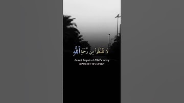 القارئ / عمر محجوب