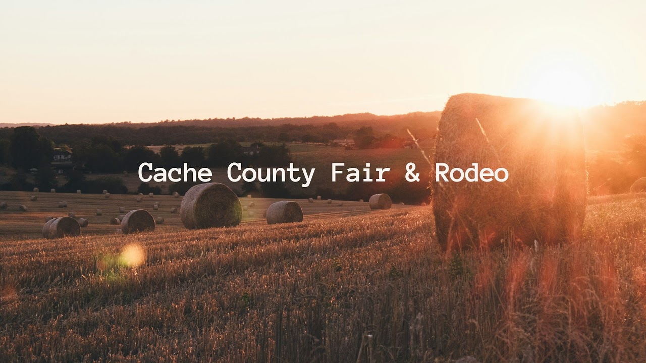 Cache County Fair & Rodeo: 2025 Junior Livestock Showcase Live
