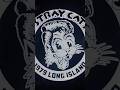 STRAY CATS - SHOPEE / LAZADA / TIKTOK / INSTAGRAM / FACEBOOK / CAROUSELL: @BandMerchIloilo