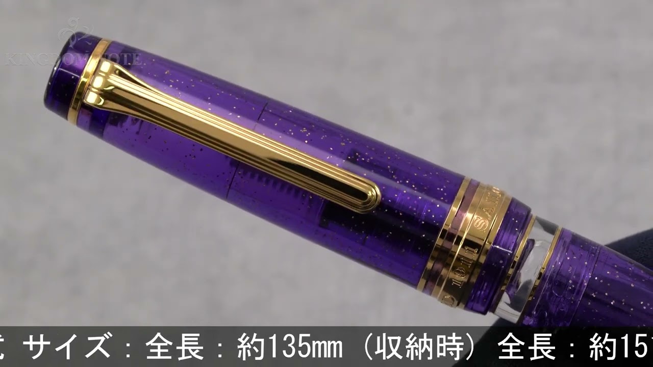 SAILOR セーラー 万年筆 ペンポイントオリジナル プロフェッショナルギア レアロ アヤメ 中字