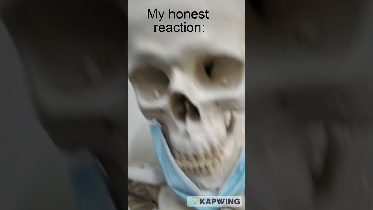 My Creation of My honest reaction meme 