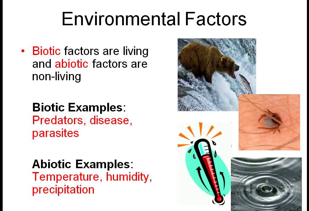 Part A Ecology Basics