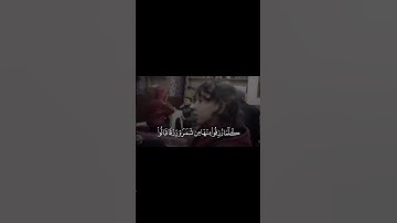 سورة البقرة الآية (25) - معاذ الشامي#قران #القرآن_الكريم #تلاوة_خاشعة #سورة_البقرة #معاذ_الشامي
