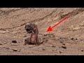 NASA Mars Perseverance Rover Sent New 4k Video of Mars Sol 482 : Live Mars in 4k || 4k Red Planet