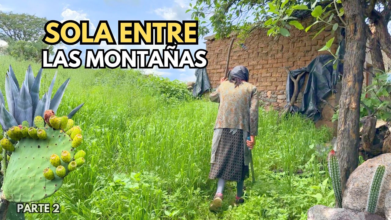 YO AQUÍ NO CUENTO CON NADIE QUE ME VISITE 🥹