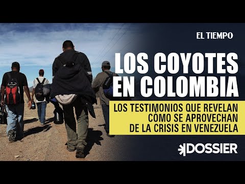 Los Coyotes en Colombia: Testimonios revelan cómo se aprovechan de la crisis en Venezuela| El Tiempo