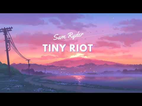 Vietsub | Tiny Riot - Sam Ryder | Lyrics Video