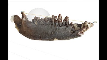 How to Focus Stack and 3D Model Using Photogrammetry