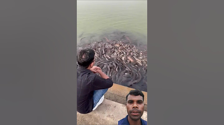 भूख सबको लगती है बस कोई कह सकता है कोई सिर्फ़ देखा सकता है #younickviral #trendingreel #trend #viral