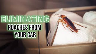 Roach-Free Rides: The Ultimate Guide to Getting Rid of Cockroaches in Your Car