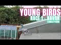 Kick off our young bird season