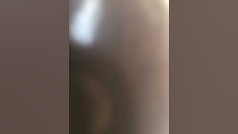 Combustion Dynamics in a Rijke Tube