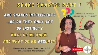 Snake Smarts: Part 1- Are Snakes Intelligent?