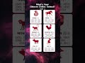 Chinese Zodiac Signs Birth Years Part 1 Chinesezodiac Zodiac Zodiacsigns Astrology Shorts mp3