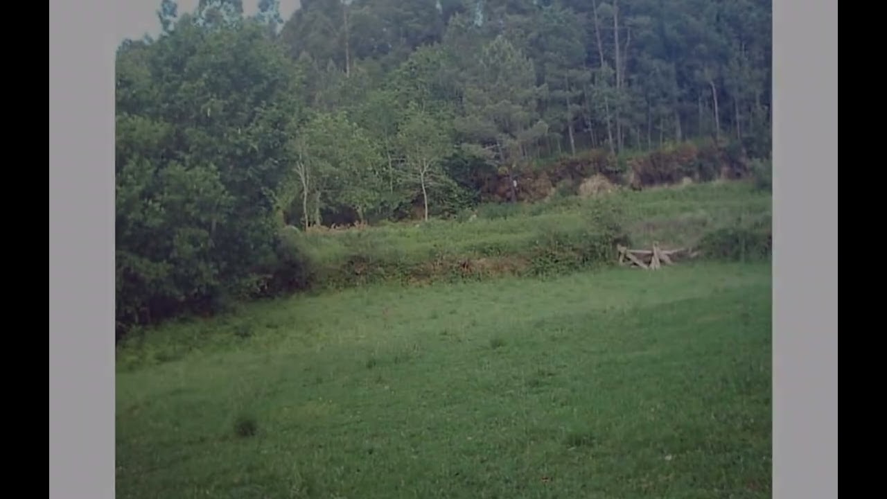 Vende-se terreno c/ área total de 2000 m2