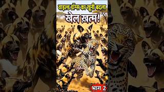 Leopard Messes with Wild Dogs and Pays the Price | Wild Dogs Revenge 🐆🔥 #pajanimals #animalworld ...