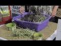 Young Rabbit Care : Rabbit Care Young Rabbit Care : Rabbit Care
