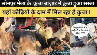 Sonpur Mela Dog Market 2023 | Sonpur mela kutta bazar | chidiya bazar | dog market