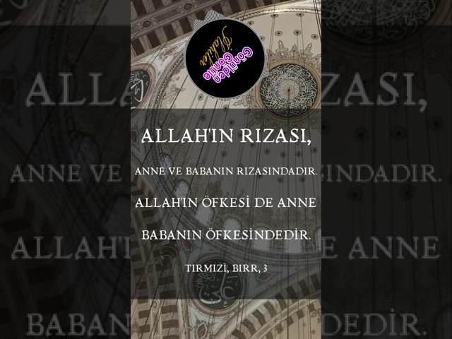 #ilahi #sedatuçan Şu Dünyanın Halinden İbret Almazmısın  #shorts