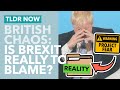 Project Fear Becomes Reality? Is Brexit to Blame for British Shortages - TLDR News