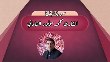 القارئ محمد مولود الشاماني تلاوة من سورة البقرة