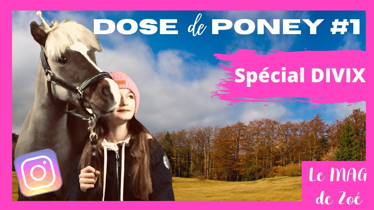 Agenda Les Poneys De Zoé 2022 2023