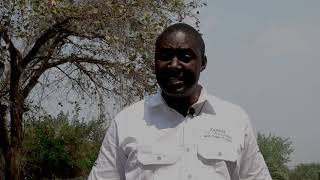 Farming Today with the Zambia Agribusiness and Trade Project Dairy Farming in Palabana, Zambia by Millennium TV Zambia 660 views 2 years ago 11 minutes, 8 seconds