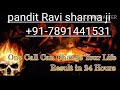 Pandit ravi shastri ji astrologer  jai ma kali jyotish kendar 917891441531call now