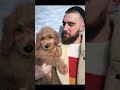 Noivo da Taylor Swift com cachorros #traviskelce