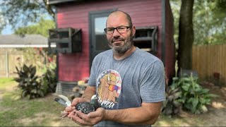 Racing Pigeons Loft Visit with Jeremy Allen of Youngsville Louisianan