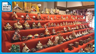 明治から昭和にかけての｢ひな人形｣約150体を展示　時代ごとに異なる表情や衣装が目を引く　愛知・岡崎市