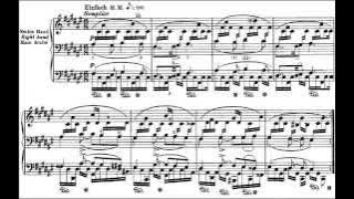 SCHUMANN Romanze Op. 28 / 2 (Konstantin Semilakovs)