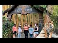 Tiger Trail | Family Vlog