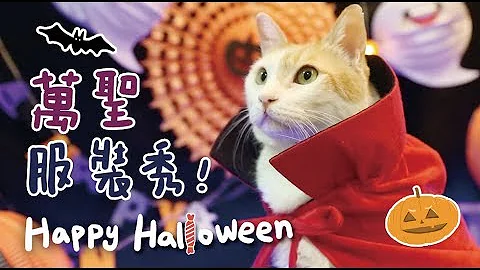 【黄阿玛的后宫生活】万圣服装秀！Happy Halloween - 天天要闻