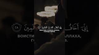 Сура 5 Аль-Маида Чтец Мухаммад Тарик аят 28 #ислам #сунна #истина #сура #коран #религия #пророк
