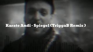 Karate Andi -   Spiegel (TriggaB Remix)