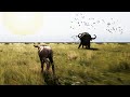 Painfully Realistic Animal Survival Experience...