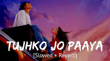 Tujhko jo paaya [Slowed + Reverb] Nikhil Dsouza | Bollywood hindi lofi song