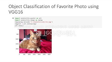 CSCI E-89: Object Classification