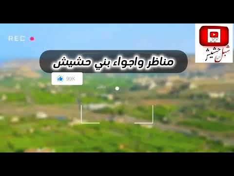 مناظر بني حشيش العنب اليمني اجواد انواع العنب 2023م 1444ه تصويري لايك واشترك في القناة