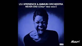 LTJ X-PERIENCE, AMMUIN ORCHESTRA - Never End - Radio Version