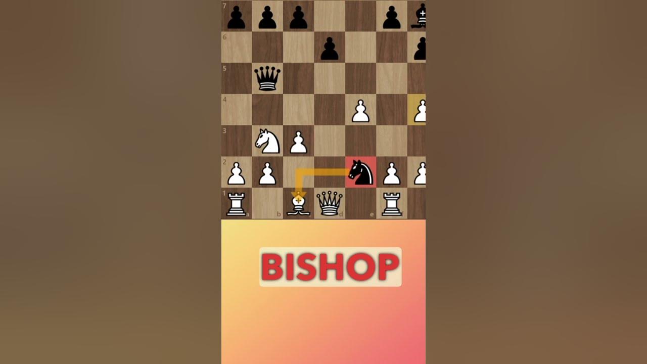 Magnus Carlsen vs Jon Ludvig Hammer! chess chessgrandmaster 