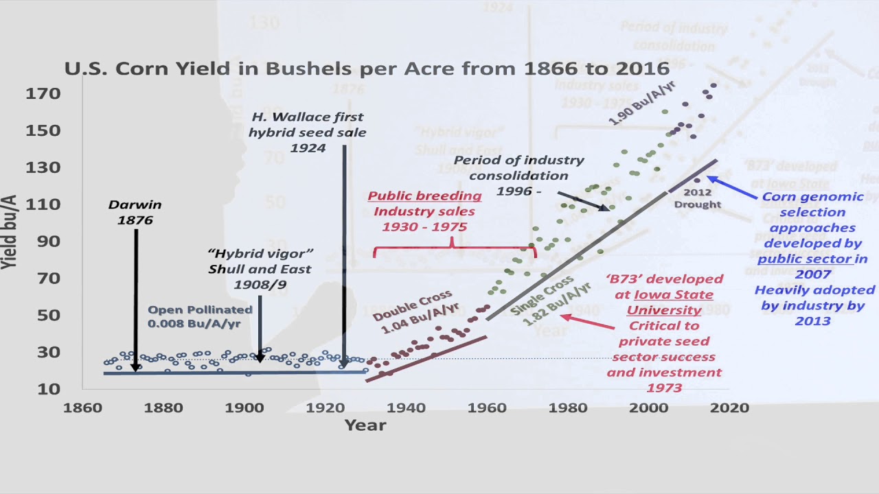 U S Corn Bushels per Acre from 1866 to 2016 YouTube