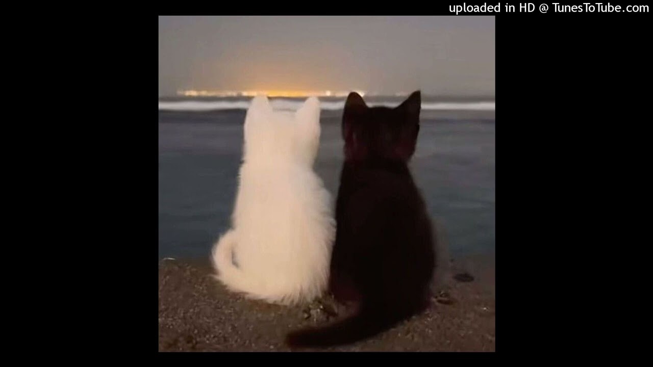 *free* rock x destroy lonely type beat - 