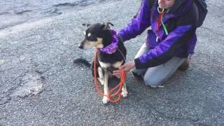 Baby A1107803