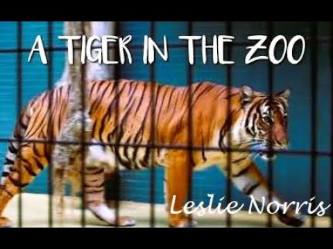 Vintage lezbiyen porno erotikani onlayn tomosha qiling