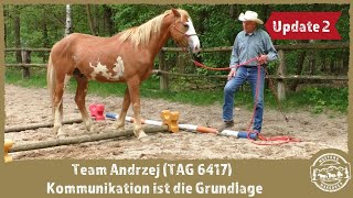 MUSTANG MAKEOVER 2021 - Team Andi Update 2 – Wie hat sich das Wildpferd entwickelt?